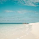 블루아프리카 이미지