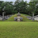 영월-10