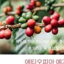 제이엠디 이미지
