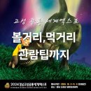 (주)티켓몰 | 경남 고성 공룡 세계엑스포 볼거리, 먹거리, 공연 관람팁까지!