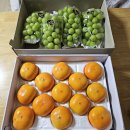 싱그러운청도로(가을) 이미지