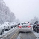 신효동-31 이미지