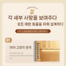 고양이 행복 쉼터 | 고양이를 위한 완벽한 쉼터 고양이 럭셔리 하우스