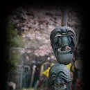 청량산의 봄 이미지