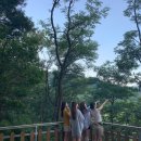 마운틴캠핑장 이미지