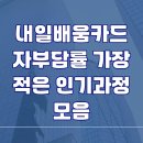 내일배움카드 자부담률 가장 적은 인기과정 모음