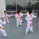 단국대 나래태권도 이미지