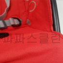 파파스클린 이미지