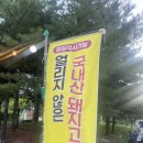 국생돈 | 청라 고기집 국생돈 방문 후기 – 한돈고기 인증점 생고기 목살 삼겹살 맛집🐷