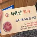 처용산오리 이미지