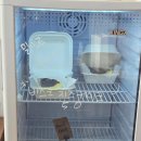 동대로(남) | 호계 디저트 카페 버터멜로우 내돈내산 후기