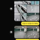 미라크리닝 이미지