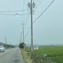 서해 | [아산]인주면 대형카페 논뷰 삽교호 근처 아산 서해커피 솔직후기