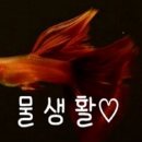에스아쿠아앤카페 이미지