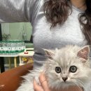 터미널큰사랑약국 | [중국] 칭다오 (맥주박물관 | 54광장호텔 | 베이징덕 | 루위 | 마사지 | 네일샵 | 믹스몰)