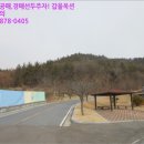 오림동 내동 이미지