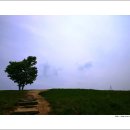 전나무목장 이미지