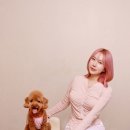 코튼볼스튜디오