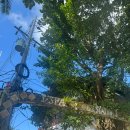 에스안경 | 보라카이 호핑투어 - 에스보라카이 제트스키호핑투어 내돈내산 후기