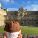 꿈공원약국 이미지