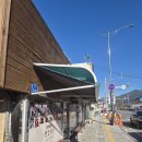 영월역 맛집 다슬기향촌성호식당 아침 오픈런 추천