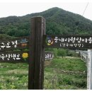 월림교 Daum카페