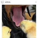 이디야커피구청점