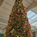 월롱농장 이미지