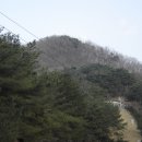 이사위묘 이미지