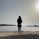 [캠핑일기] 충남 태안 곰섬오토캠핑장 A구역 오션뷰 노지사이트, 해루질 캠핑장, 벚꽃캠핑장, 반려동물...
