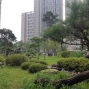 김포생활체육관 버스정류장주변 이미지