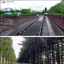 금지게식당 네이버블로그