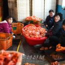 청진수산 - 6123 | 청진수산