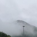 메가커피정동점 이미지