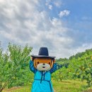 신태평양약국 이미지