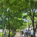 석산3길 이미지