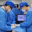 정창수외과동물병원 이미지