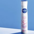 Point-봄의 향 이미지