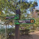 [버스투어/여행] 파랑새투어 장태산 자연휴양림+대전중앙시장+옥천 부소담악 후기!!