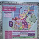 광사1천 | 양주 나리공원 천일홍축제 | 아기랑 가기 좋은 축제 후기