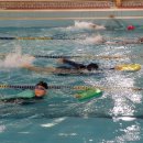 동신파이디온 이미지