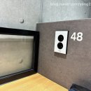 마이데스크공주