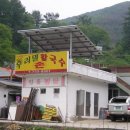 보은칼국수 이미지