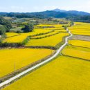 태양아트 이미지