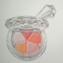 플뢰르드로투스