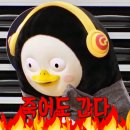 진심코다리 이미지