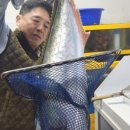 남해회센타 이미지