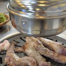 불타는돈갈매기 이미지