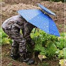 그늘막84 이미지