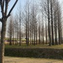 황산애견